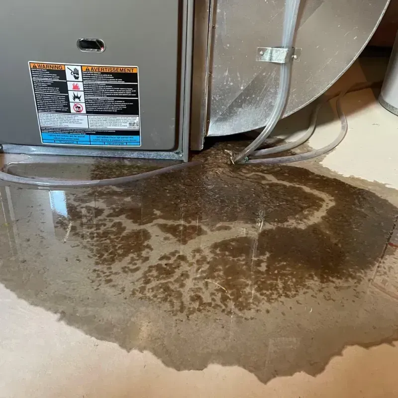 Appliance Leak Cleanup in Garrison, ND